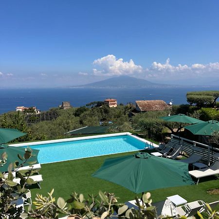 מלון Sorrento Olive Tree Garden מראה חיצוני תמונה