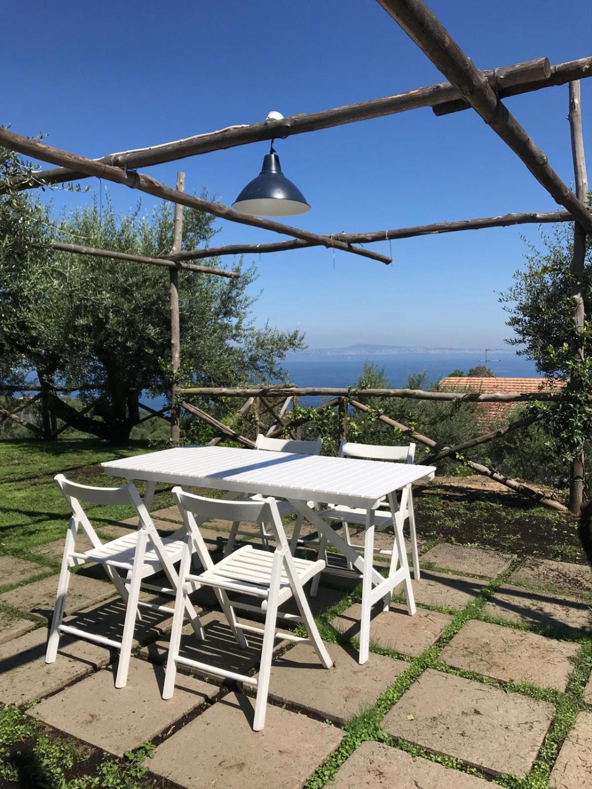 מלון Sorrento Olive Tree Garden מראה חיצוני תמונה