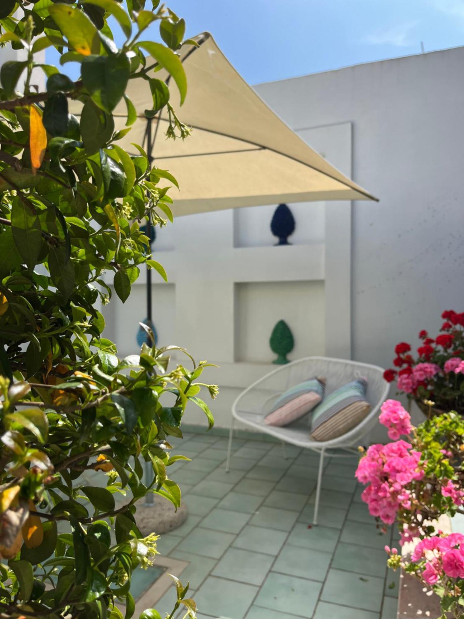מלון Sorrento Olive Tree Garden מראה חיצוני תמונה