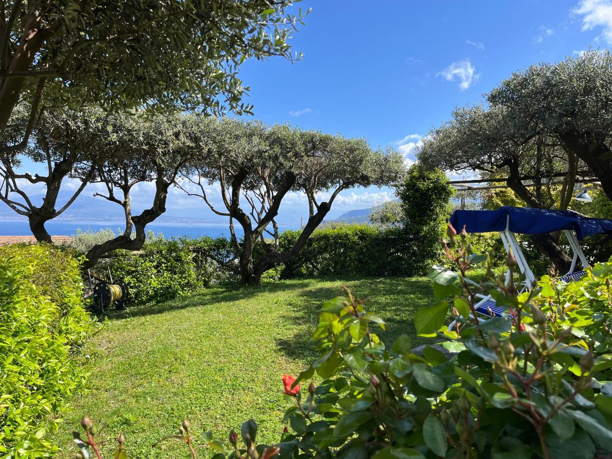 מלון Sorrento Olive Tree Garden מראה חיצוני תמונה